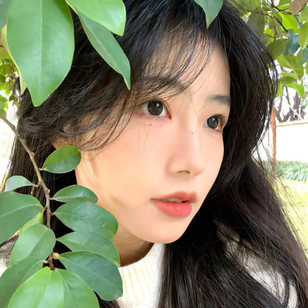 烽火丽人